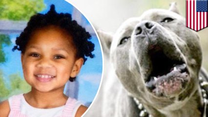Pit bull mixes maul 3-year-old girl in New Jersey home