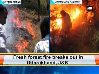 Fresh forest fire breaks out in Uttarakhand, JK