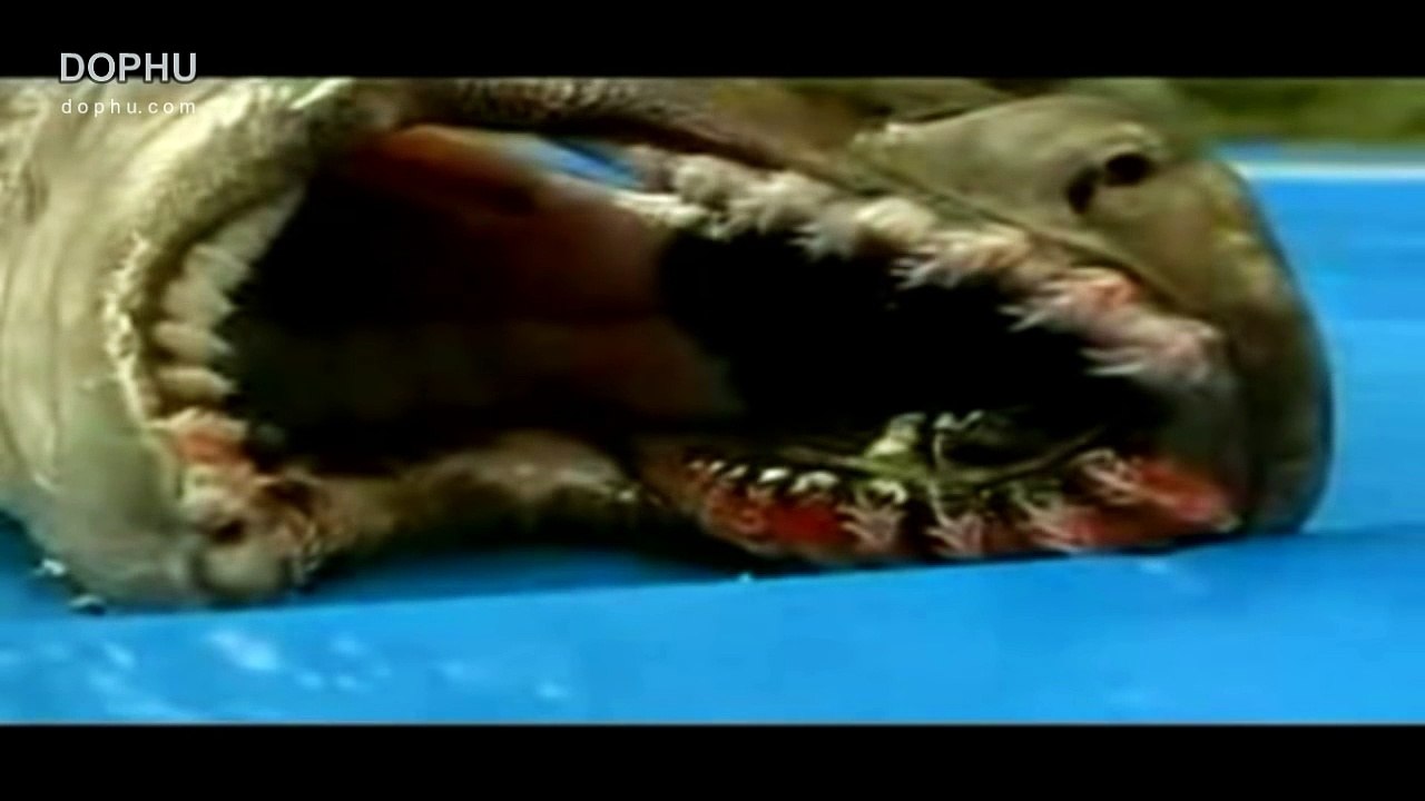 10 Mystérieuses créatures des profondeurs de l océan