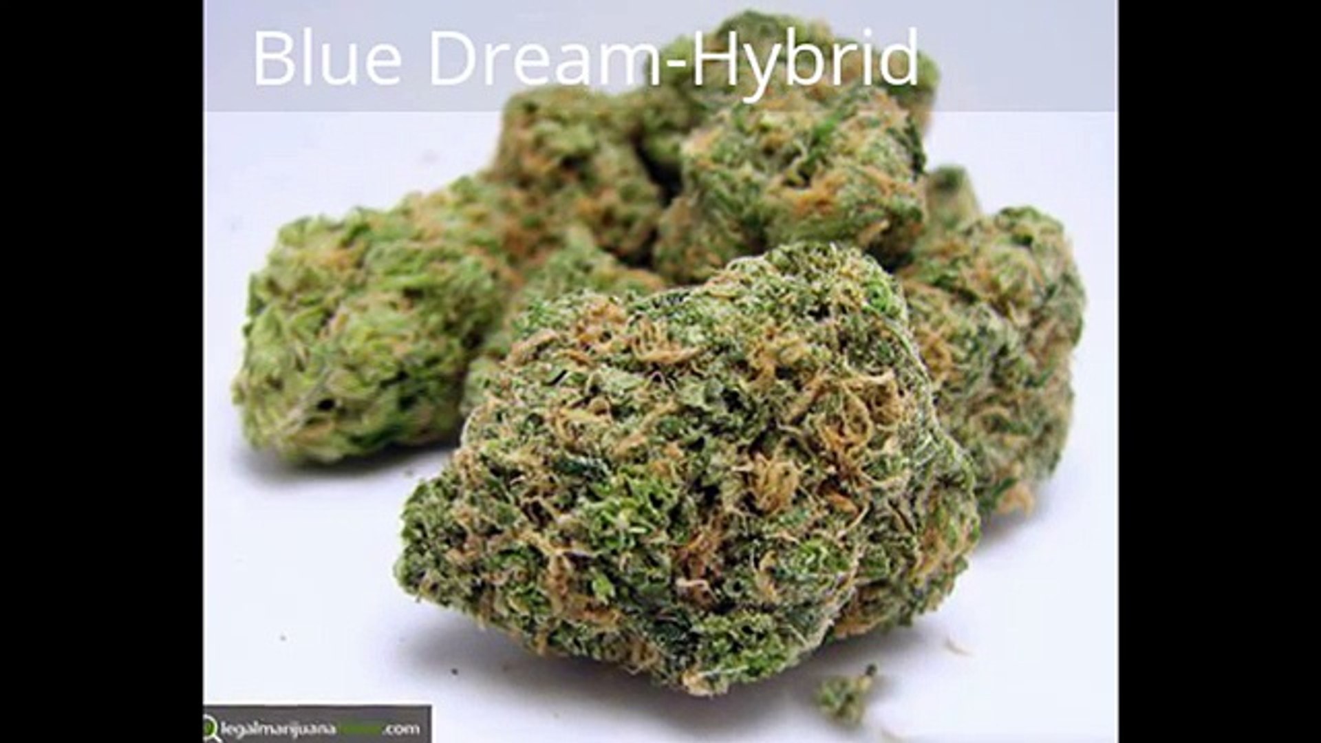 ⁣Top 5 Medical Marijuana Strains - Latest 2016 - Legal Marijuana Finder
