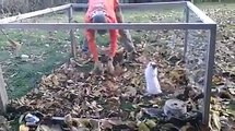 A rabbit playing with human being - Funny Animals