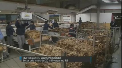 Agronegócio cria mais de 20 mil vagas de emprego no Rio Grande do Sul