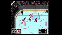 The USHZSG Hockey EX League - Insanity Division - Anaheim Ducks vs Carolina Hurricanes
