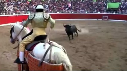 Boğa güreşi festivalinde sekiz yaralı