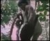 Secret tribes Africa, tribes documentary primitive tribes episode 4