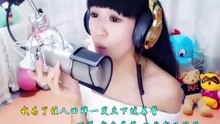 测试仪