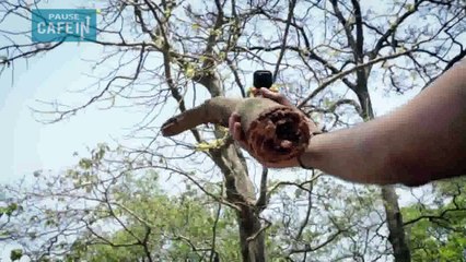 Frodo : la nouvelle caméra d'aventures qui édite vos vidéos