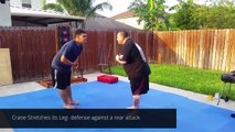 Chinese Dragon Kempo ( Brown belt Self-Defense Techniques )