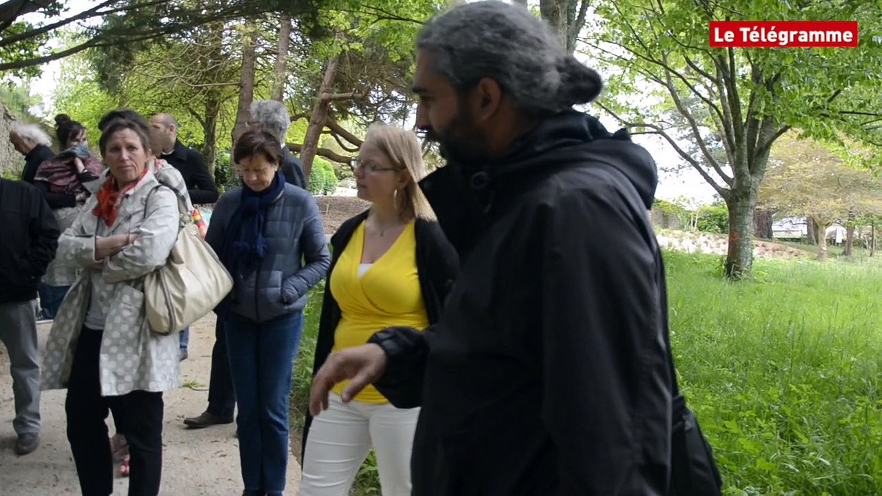 Daoulas. Abbaye : le couvert médicinal gagne du terrain