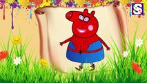 Peppa Pig Spider Man Finger Family Nursery Rhymes for kids Simple Songs