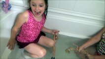 A Frog In The Tub!!  Annabelle Freaks Out 