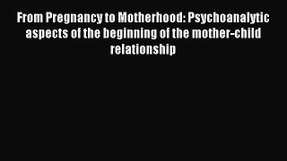 Read From Pregnancy to Motherhood: Psychoanalytic aspects of the beginning of the mother-child
