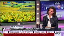 Idées de placements: Comment constituer son portefeuille vins hors de Bordeaux ? - 19/05