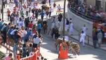 1º ENCIERRO CON TOROS EN ALFARO (LA RIOJA) 15- 08- 2015