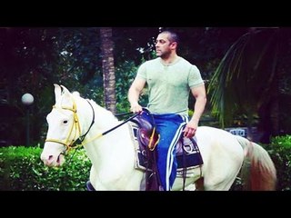 Salman Khan HORSE Riding For Sultan
