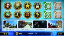Mario Kart 8 Wii U Part 10 - Flower Cup(Mirror Mode)