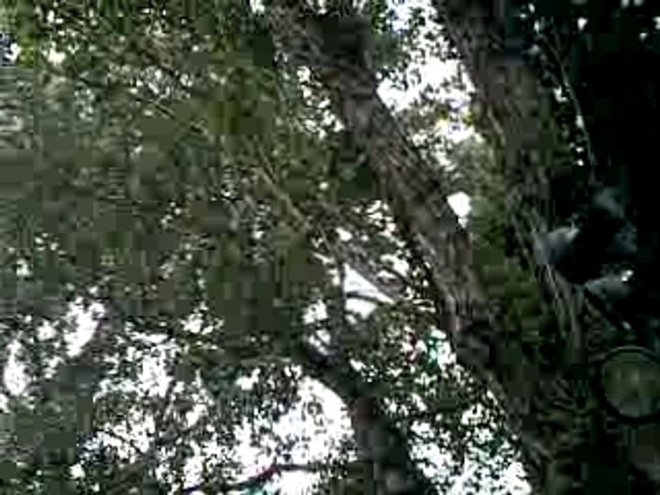 chateau gala dali a Pubol