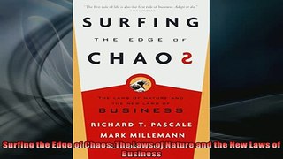 READ book  Surfing the Edge of Chaos The Laws of Nature and the New Laws of Business  BOOK ONLINE