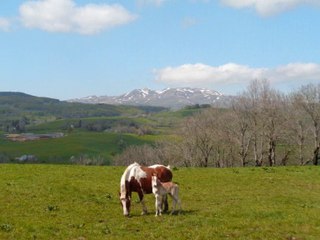 Auvergne pentecôte 2016 Rando entre lacs et cascades