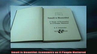 FREE DOWNLOAD  Small is Beautiful Economics as if People Mattered READ ONLINE
