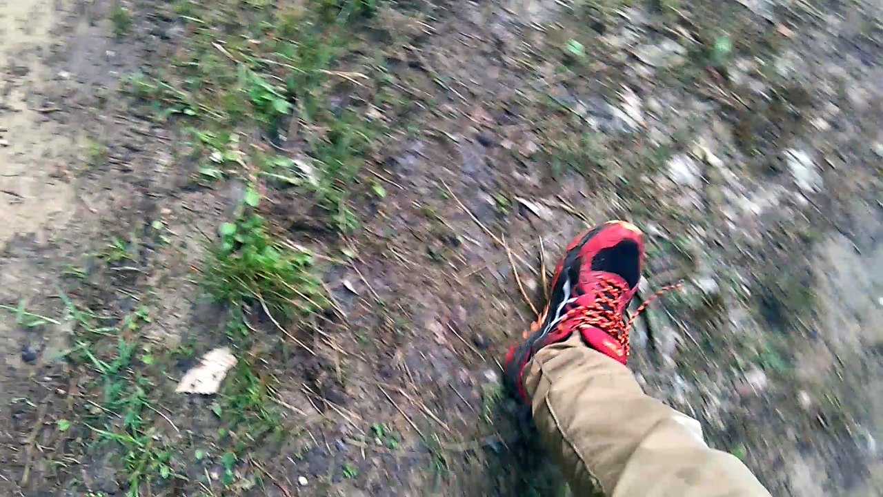 Départ pour la survie.