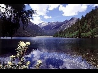 algerie vancances 2006