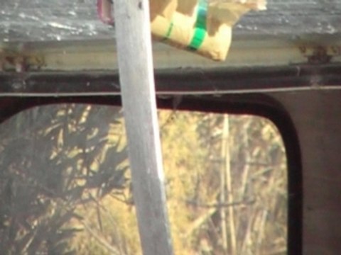 explosion d un gros pétard