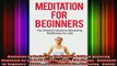 READ book  Meditation for Beginners The Ultimate Guide to Mastering Meditation for Life in 30 Full Free