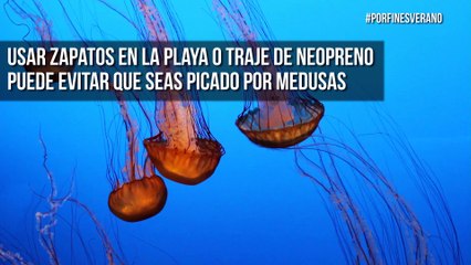 ¿Irás a la playa en este verano? A lo mejor no sabías que...