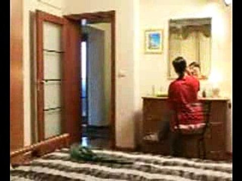 Вот что делает Милион Super prikol