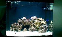 29. Gal Oceanic Biocube