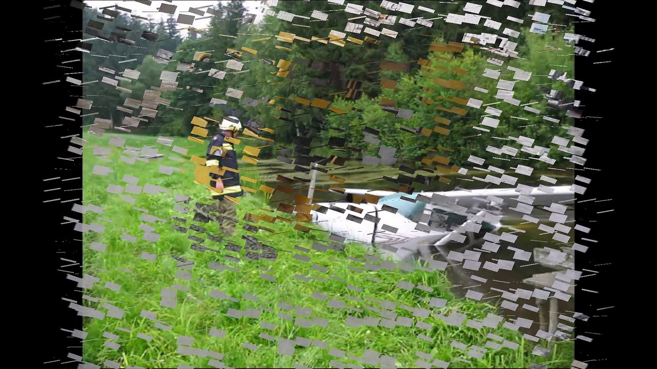 Insolite images de la vie de tous les jours ou enfin presque...