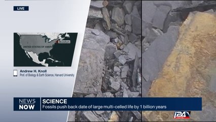 Fossils push back date of large multi-celled life by 1 billion years