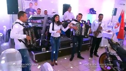 Kolo do kola - orkestar Nenada Tasica Taneta 2015 - YouTube