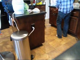 Baby making interesting conversation with dog