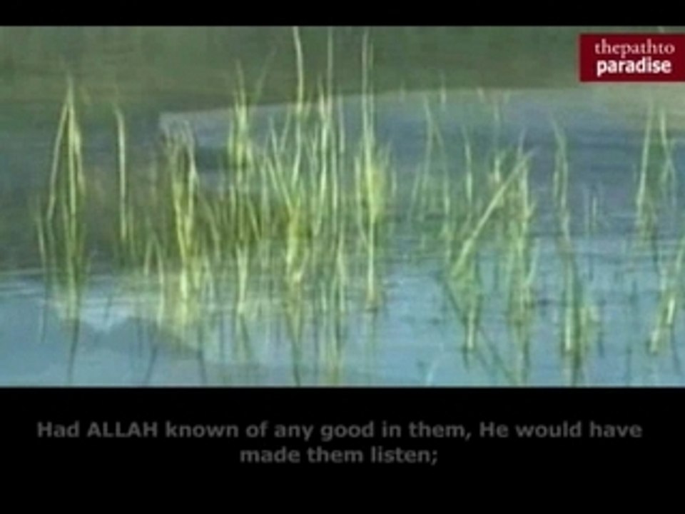 Surat Anfal1of2 - Abu Hajar AL Iraqi Allah Islam Iman