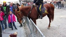 Adorable Dog (Frenchie!) Plays with NYPD Police Horse on Wall Street