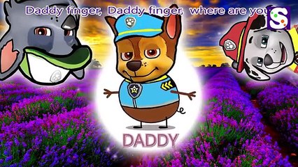 Peppa Pig Paw Patrol Finger Family Nursery Rhymes Simple Songs