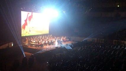 Lisbon Film Orchestra (Disney In Concert) | Ciclo Sem Fim