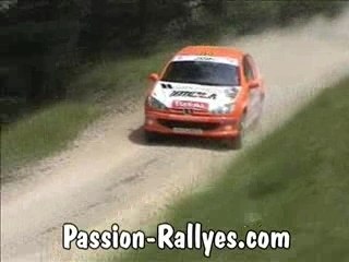 Rallye Terre du Diois Volant 206