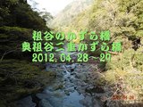 祖谷のかずら橋～奥祖谷二重かずら橋　2012.04.28　ＧＷ