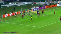 Gol de Gabriel Jesus, Palmeiras 4 x 0 Atlético PR - Brasileirão 14-05-2016 [HD]