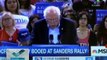 EE.UU.: según encuestas, Sanders tiene mayores posibilidades de ganar