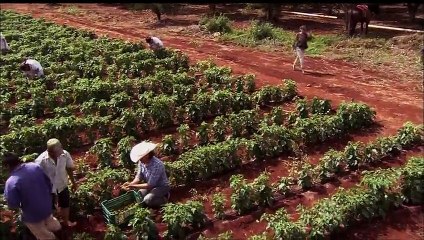 ABISMO DE PAIXÃO 18-05-2016 Capítulo 38 Parte 3/3 [Sem Cortes]