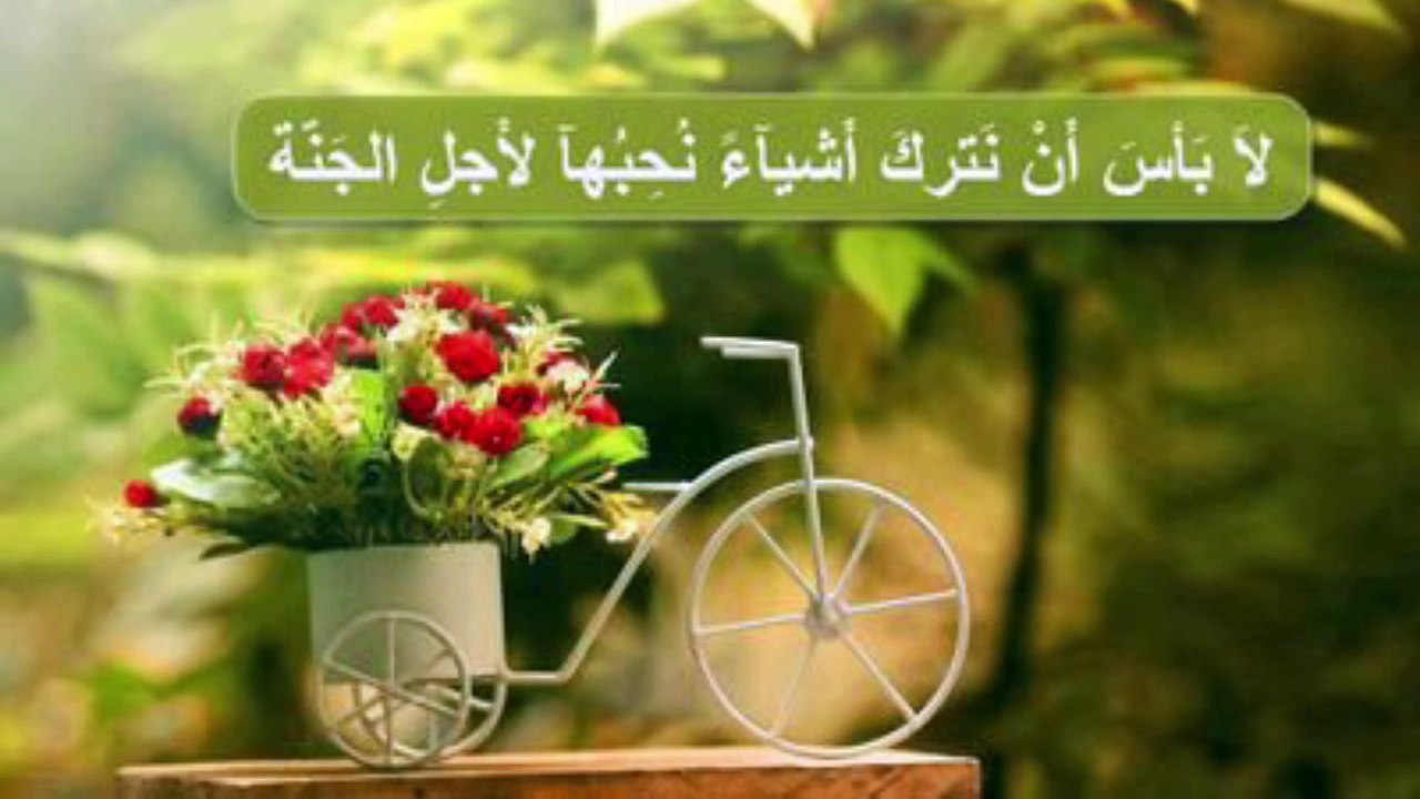 سورة النازعات بصوت الشيخ / منصور السالمي