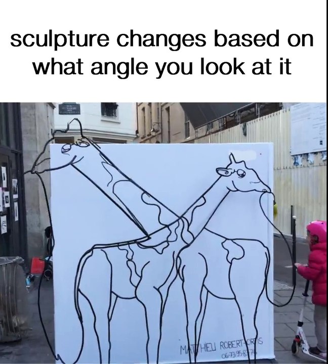 A sculpture that changes shape based on the angle of vision! Brilliant!