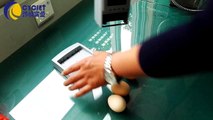 CYCJET 790 Eggs Hand Stamper/Manual Coding machine for eggs/Stamping eggs/handheld inkjet printing eggs/Egg stamp code