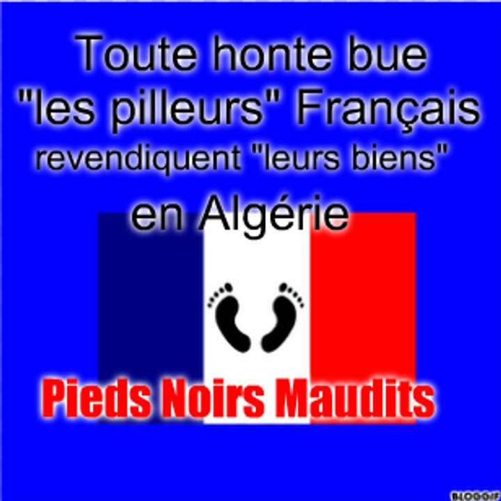 Les "Pilleurs" Français Revendiquent ...Vidéo en Français.
