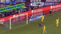 Gonzalo Higuain - Record 36 Goals in Serie A!! (All Higuain Goals) Napoli vs Frosinone [4-0]