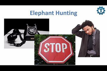 Jay Coulter - BDS- 002 Elephant Hunting Strategy